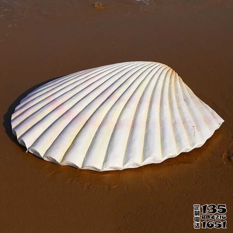 白色玻璃钢仿真贝壳户外海滩摆件 白色玻璃钢仿真贝壳户外海滩摆件