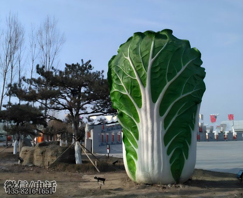 玻璃钢仿真大白菜雕塑 玻璃钢仿真大白菜雕塑